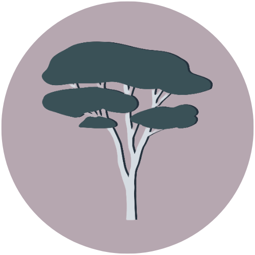 Acacia Collaborative acacia tree logo mark