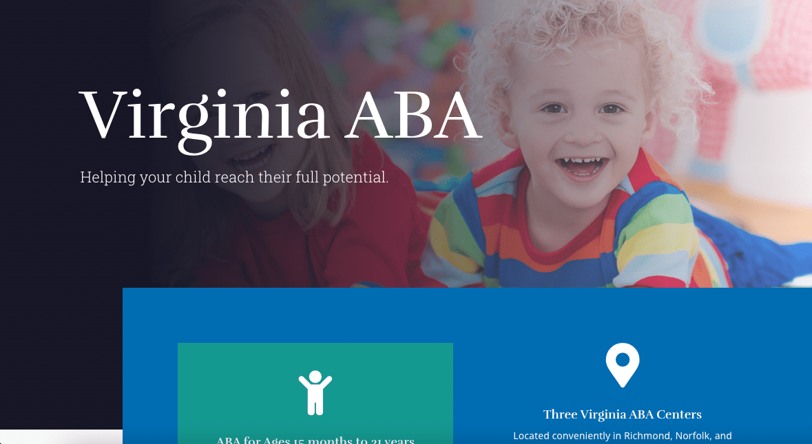 Virginia ABA website designed by LMR