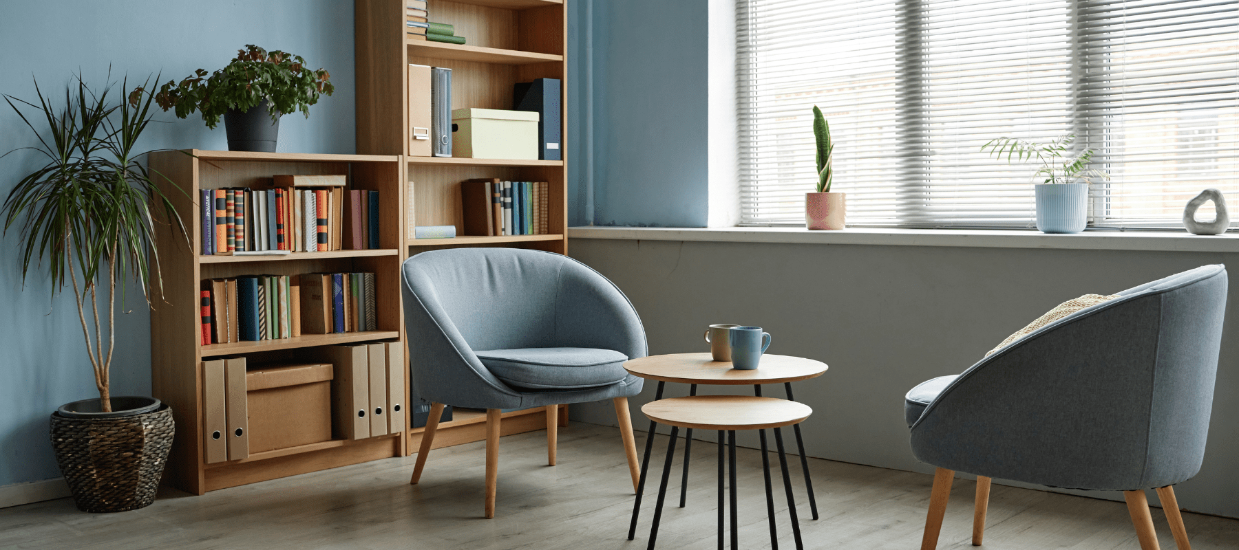 Calm therapy office with two blue armchairs, a bookshelf and plants